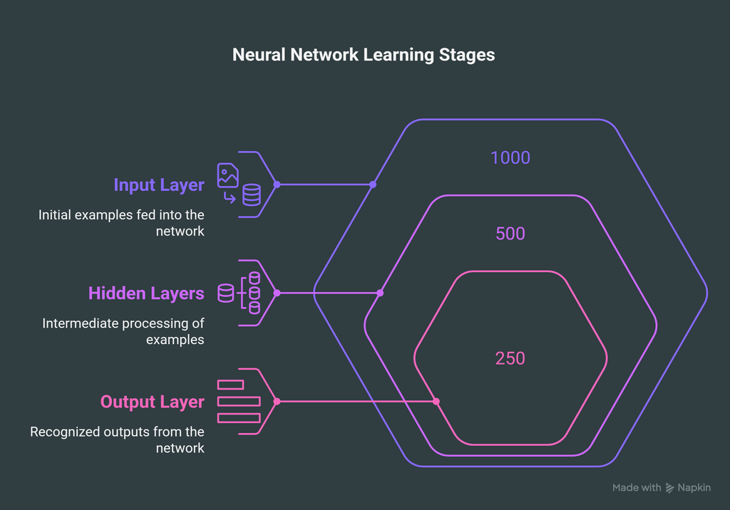 How Do Neural Networks Learn
